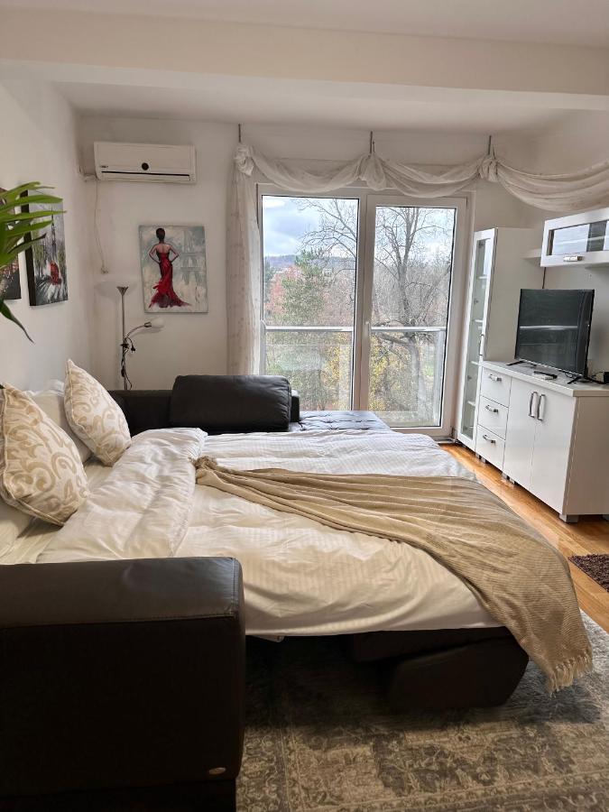Apartman Floresta - In Front Of Japanese Garden, Enchanting Nature View, Spotless And Cozy Vrnjačka Banja Buitenkant foto