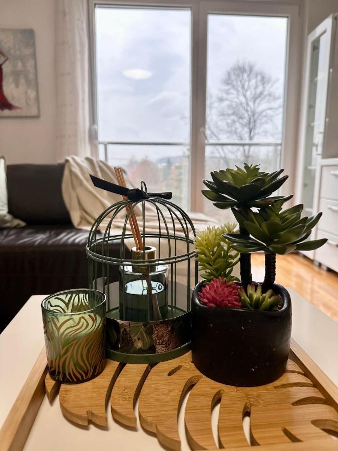 Apartman Floresta - In Front Of Japanese Garden, Enchanting Nature View, Spotless And Cozy Vrnjačka Banja Buitenkant foto
